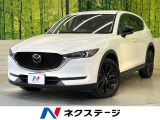 10.25型ナビ 全周囲カメラ レーダークルーズ