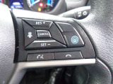 日産の先進技術プロパイロットが付いてます。操作も簡単です。