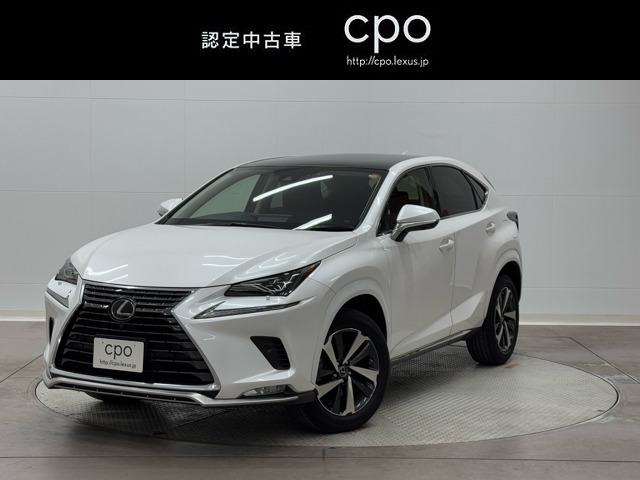 NX 300 Iパッケージ （DBA-AGZ10）