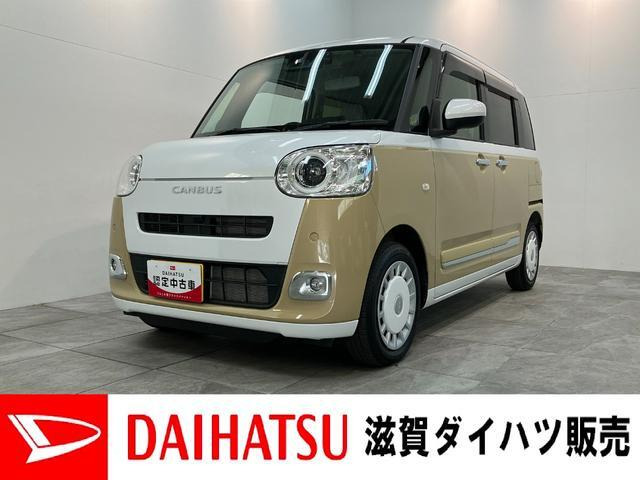 ムーヴキャンバス  ストライプス G