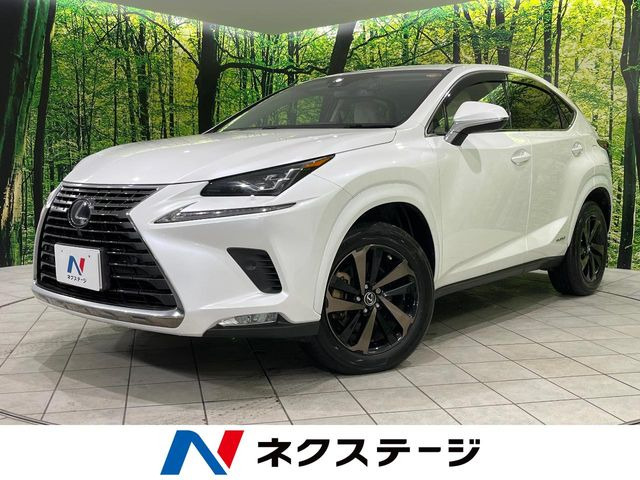 NX 300h バージョンL 