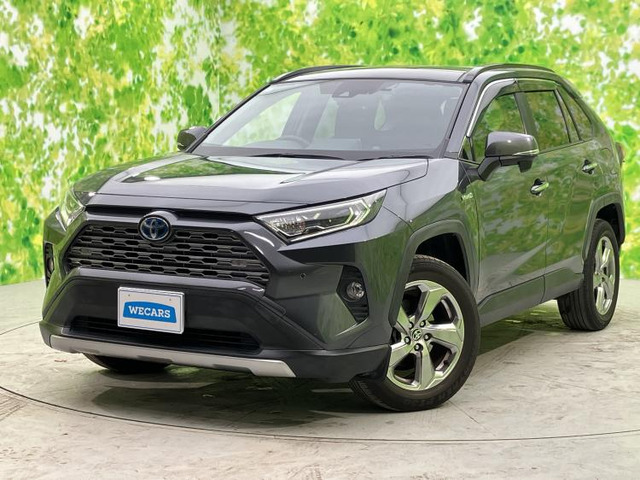 RAV4 2.5 ハイブリッド G E-Four 4WD 