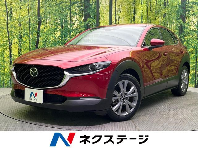 CX-30 2.0 20S プロアクティブ ツーリングセレクション