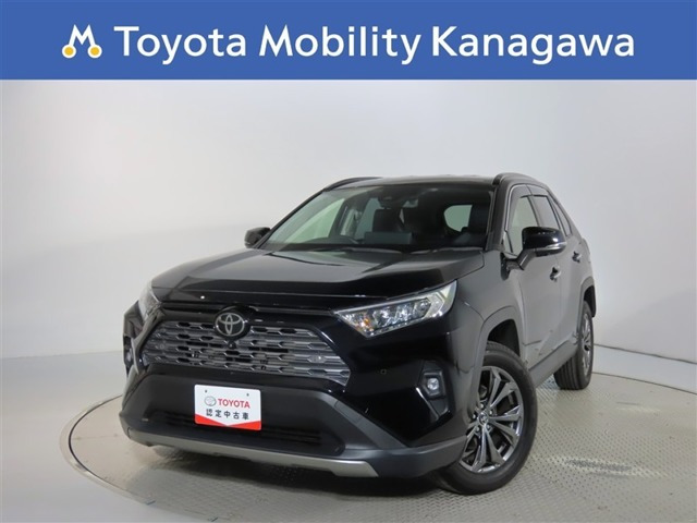 RAV4 2.0 G 4WD（6BA-MXAA54）