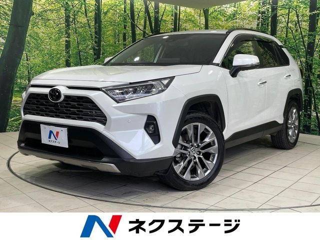 RAV4 2.0 G Zパッケージ 4WD （6BA-MXAA54）