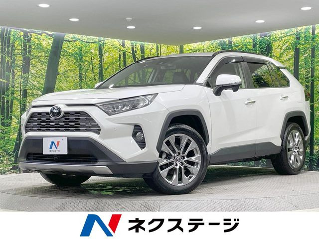 RAV4 2.0 G Zパッケージ 4WD （6BA-MXAA54）