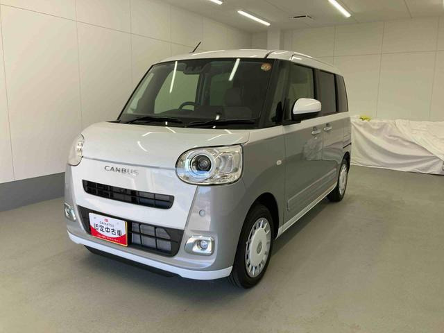 ムーヴキャンバス  ストライプス G