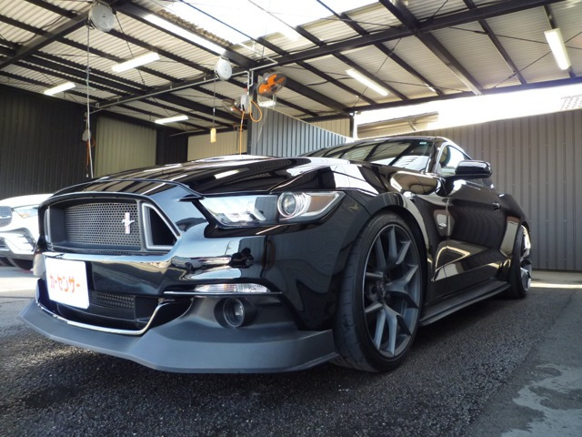 マスタング 50イヤーズ エディション