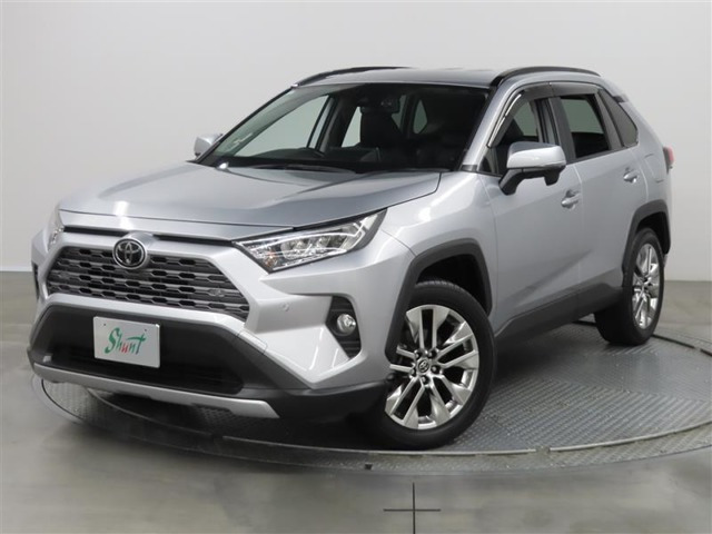 RAV4  2.0 G Zパッケージ 4WD