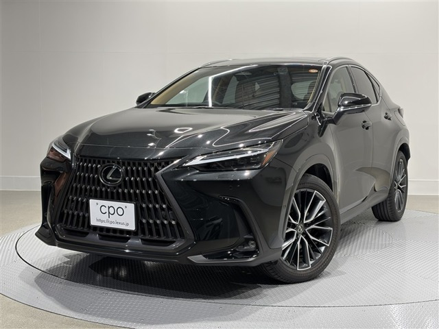 NX 350h バージョンL （6AA-AAZH20）