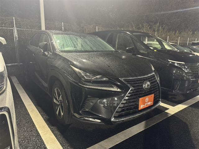 NX 300 バージョンL 禁煙車 本革シート 純正10.3型ナビ（DBA-AGZ10）