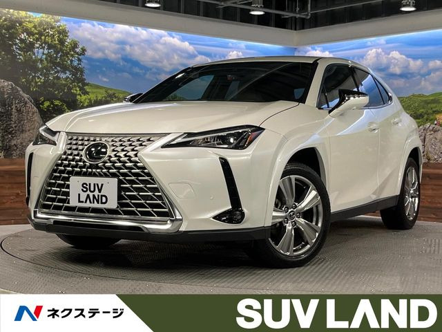 UX 250h グレイスフル エクスプローラー