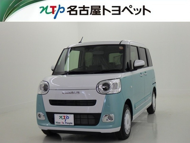 ムーヴキャンバス  ストライプス G