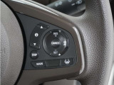 ◆アダプティブクルーズコントロール◆予め設定した車速内でクルマが自動的に加減速。前走車との適切な車間距離を維持しながら追従走行します。【LKAS】車線維持支援システムでステアリング操作を支援。