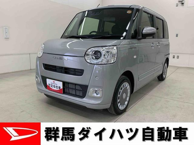 ムーヴキャンバス  セオリー G