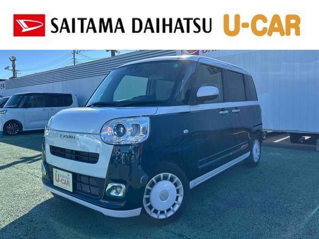 ムーヴキャンバス  ストライプス G