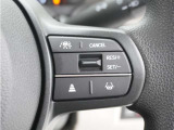 ◆アダプティブクルーズコントロール◆予め設定した車速内でクルマが自動的に加減速。前走車との適切な車間距離を維持しながら追従走行します。【LKAS】車線維持支援システムでステアリング操作を支援。