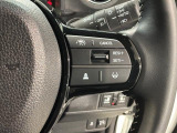 クルーズコントロールを装備しています。高速道路などで一定の速度で走ってくれるので運転が楽ですよ!速度を設定できますので、スピードの出しすぎにも注意できます。