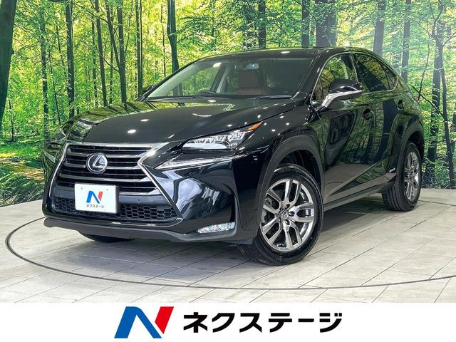 NX 300h Iパッケージ 