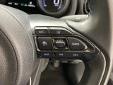 前方の車との車間を設定し、スピードを上げたり緩めたりを自動で行ってくれる追尾式の「レーダークルーズ」。上級装備の一つです!高級車にしかつかない嬉しい機能です。