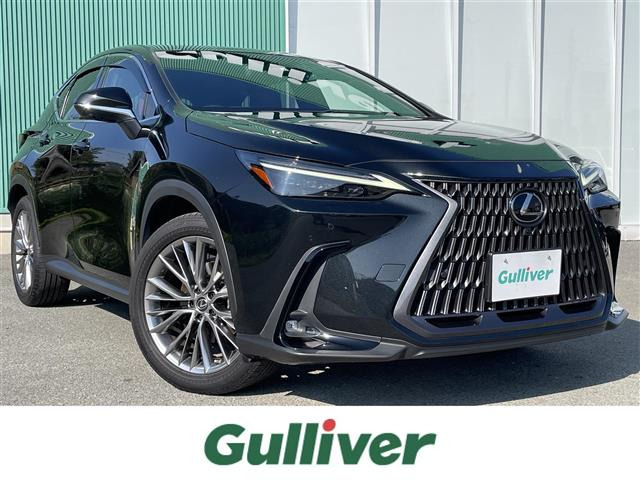 NX 250 バージョンL 本革シート サンルーフ