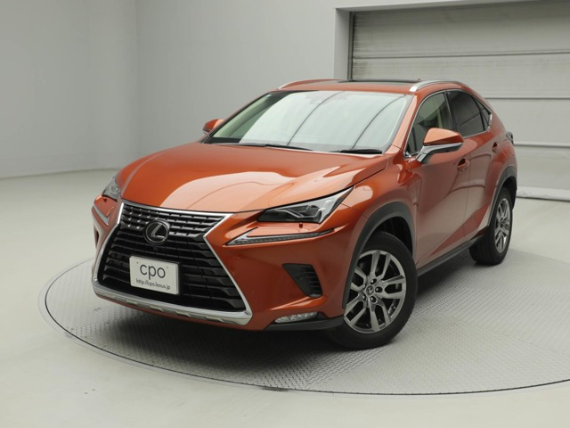 NX 300 バージョンL 4WD 