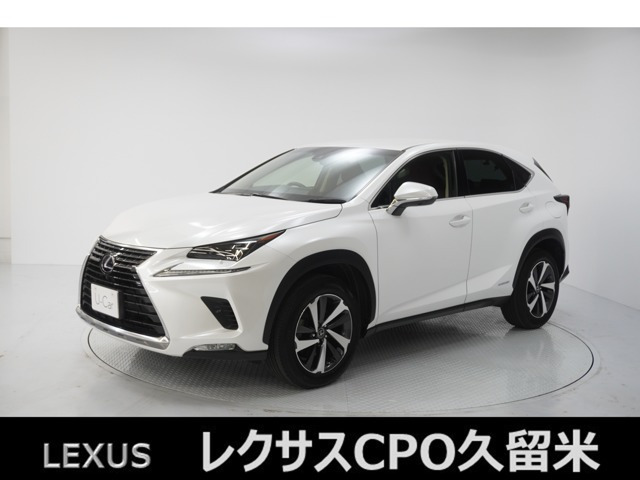NX 300h Iパッケージ 