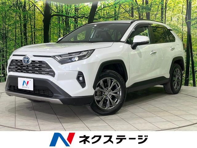 RAV4 2.5 ハイブリッド G E-Four 4WD （6AA-AXAH54）