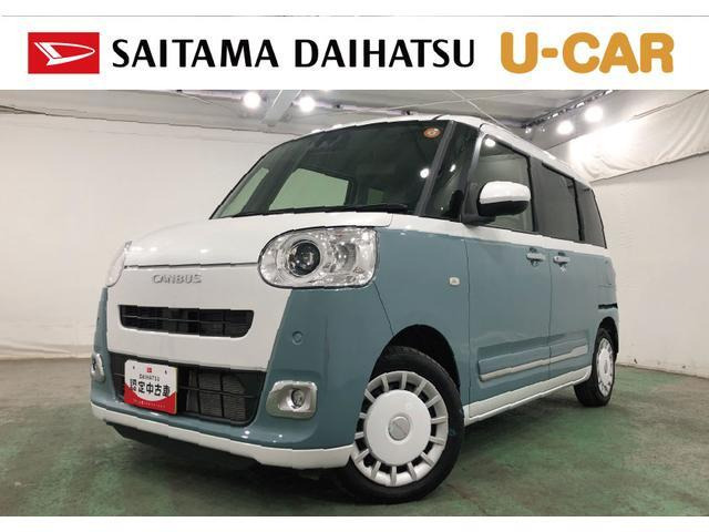 ムーヴキャンバス  ストライプス G