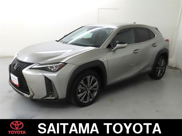 UX 250h Fスポーツ 