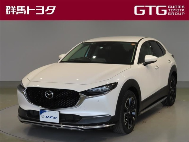 CX-30 2.0 20S ブラックトーンエディション