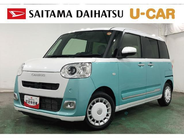 ムーヴキャンバス  ストライプス G