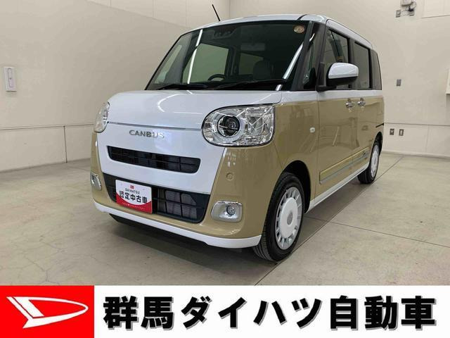 ムーヴキャンバス  ストライプス G