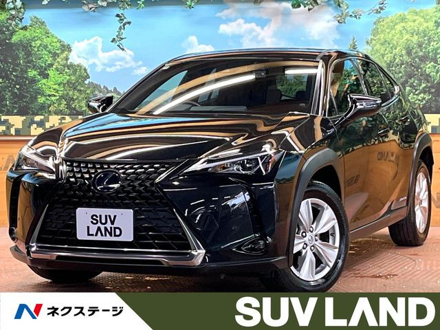 UX 250h バージョンC 