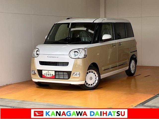 ムーヴキャンバス  ストライプス G