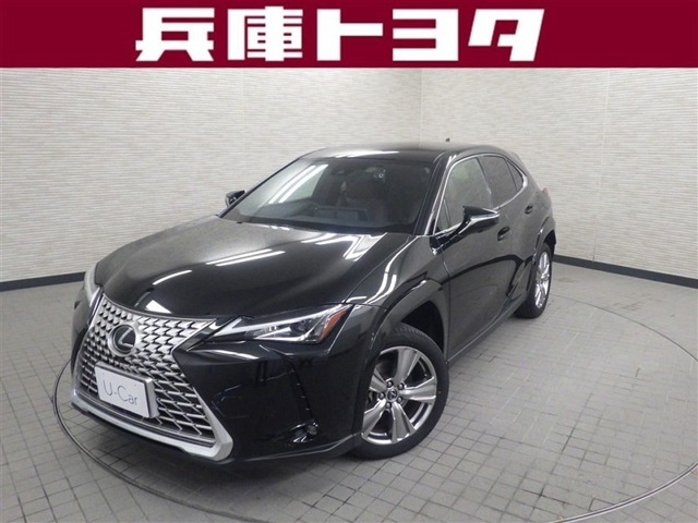 UX 250h グレイスフル エクスプローラー 