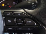 トヨタが誇る衝突被害軽減ブレーキを搭載したサポカーです。レーダークルーズコントロールを装備してます。