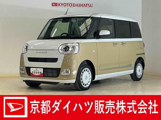 ムーヴキャンバス  ストライプス G