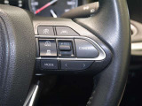 レーダークルーズコントロール/レーントレーシングアシスト/車間距離切替