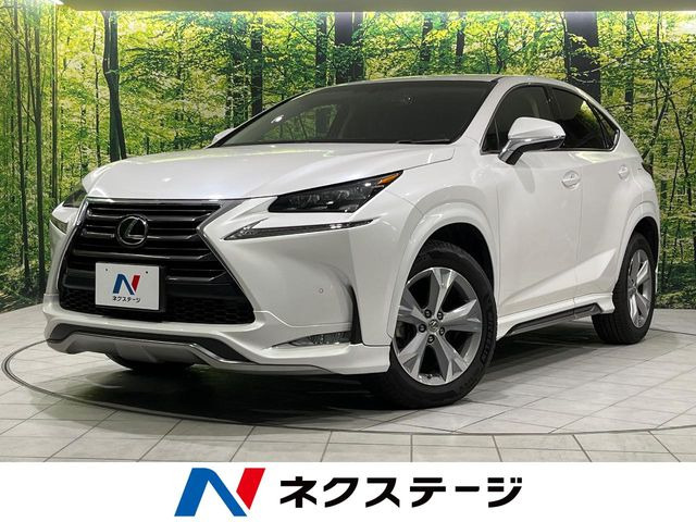 NX 200t バージョンL （DBA-AGZ15）