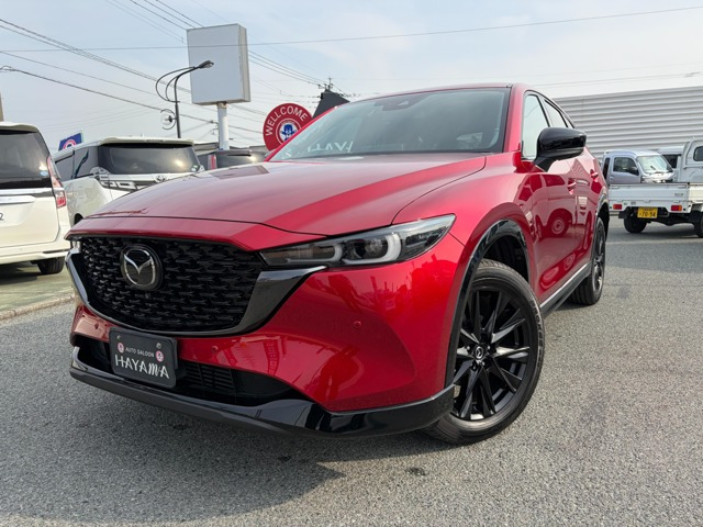 CX-5 2.2 XD レトロスポーツエディション メーカーOP(BOSEサウンド+10スピーカー)