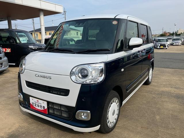 ムーヴキャンバス  ストライプス G