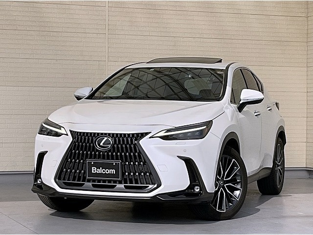 NX 250 バージョンL NX 250 バージョンL