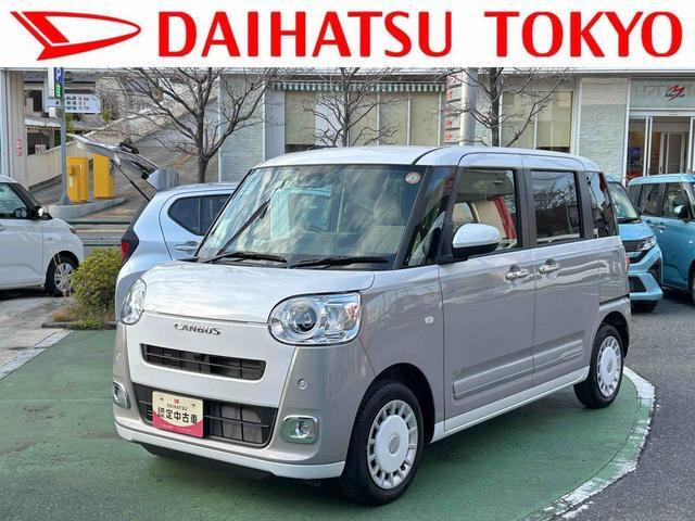 ムーヴキャンバス  ストライプス G