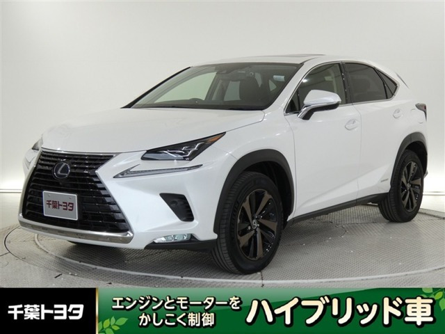 NX 300h バージョンL 