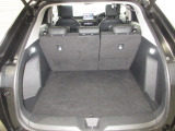 大容量のトランクルームはアウトドアなど荷物が多いアクティビティにもピッタリ!もちろんきれいにクリーニング済みです。