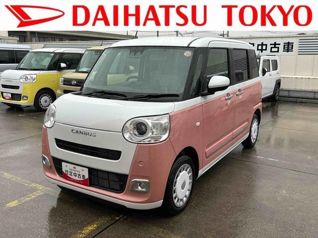 ムーヴキャンバス  ストライプス G