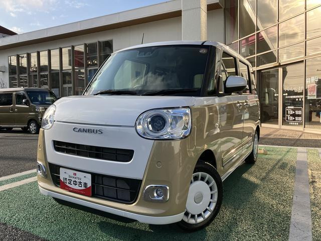 ムーヴキャンバス  ストライプス G