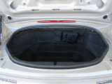 独立型トランク。深さと奥行きを確保しています。