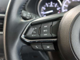 ステアリングスイッチ付き。前方から目を離すことなく操作することが可能です。